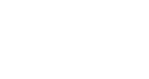 Logo CZ weiß